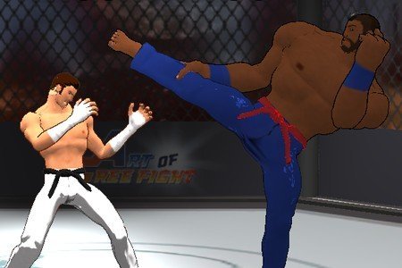 Art of Free Fight