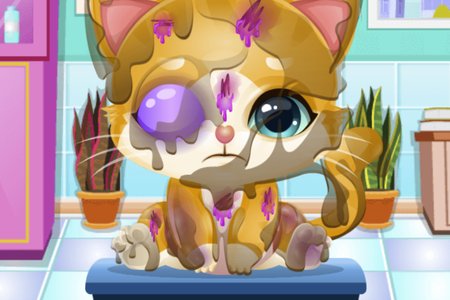 Doc HoneyBerry: Kitty Surgery