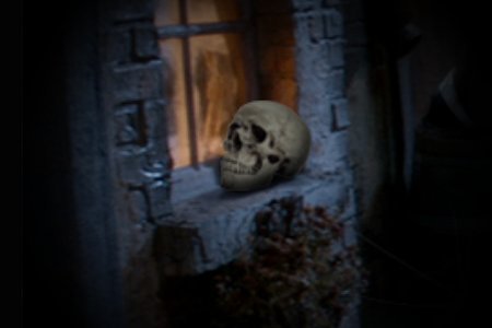 Escape from Mr. Lemoncello's Library: Library Scavenger Hunt