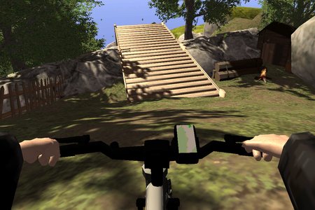 Real MTB Downhill 3D