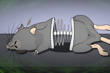 Room Escape: Strange Case