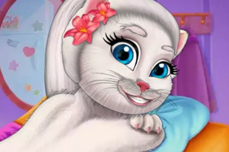 Superstar Kitty Fashion Award