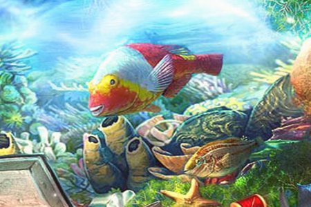 The Captain's Treasure