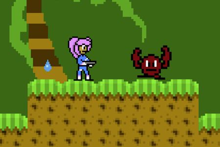 The Cowgirl Crusader