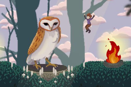 The Faces of the Forest